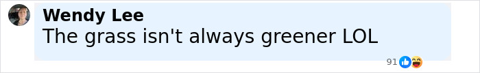 Chat message from Wendy Lee saying the grass isn't always greener, related to viral HR executive quitting job after marriage revelation. Chat message from Wendy Lee saying the grass isn't always greener, related to viral HR executive quitting job after marriage revelation.