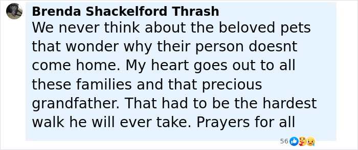Alt text: 8-year-old's horse walking behind hearse with tiny hat and boots after Camp Mystic tragedy showing loyalty and mourning. Alt text: 8-year-old's horse walking behind hearse with tiny hat and boots after Camp Mystic tragedy showing loyalty and mourning.