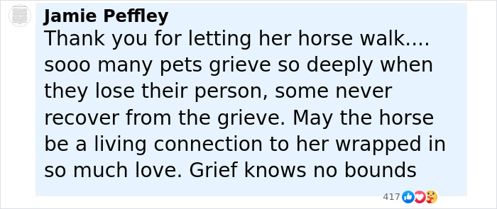 Comment expressing gratitude for a horse walking behind a hearse, highlighting pets' deep grief and lasting connection. Comment expressing gratitude for a horse walking behind a hearse, highlighting pets' deep grief and lasting connection.