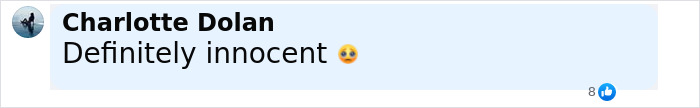 Comment by Charlotte Dolan expressing doubt about guilt with a sad emoji related to cops arresting top bosses over nurse foul play suspicions. Comment by Charlotte Dolan expressing doubt about guilt with a sad emoji related to cops arresting top bosses over nurse foul play suspicions.