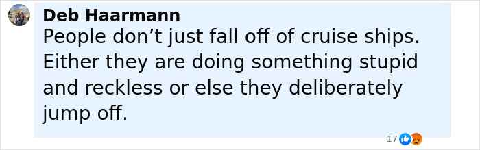 Screenshot of a social media comment discussing a girl's fall from a Disney cruise ship and the blame surrounding the incident. Screenshot of a social media comment discussing a girl's fall from a Disney cruise ship and the blame surrounding the incident.