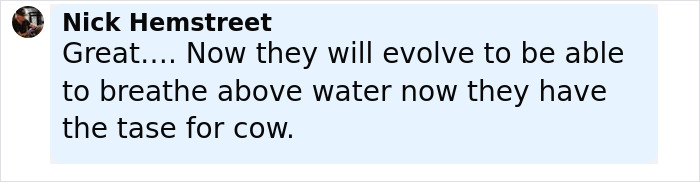 Comment by Nick Hemstreet discussing evolution and cows after scientists drop a cow 1629 meters deep into sea for study. Comment by Nick Hemstreet discussing evolution and cows after scientists drop a cow 1629 meters deep into sea for study.