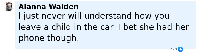 Comment expressing disbelief about leaving a child in a car, related to 3-year-old boy in temporary foster care in hot car incident. Comment expressing disbelief about leaving a child in a car, related to 3-year-old boy in temporary foster care in hot car incident.