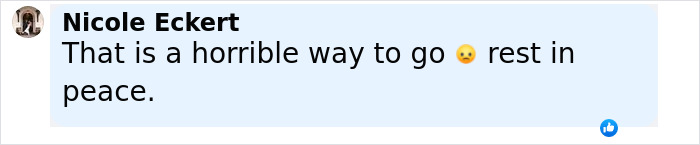 Facebook comment from Nicole Eckert expressing sympathy about a mom ending her life by starving to protect kids.