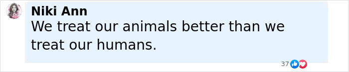Screenshot of a social media comment by Niki Ann stating we treat animals better than humans. Screenshot of a social media comment by Niki Ann stating we treat animals better than humans.