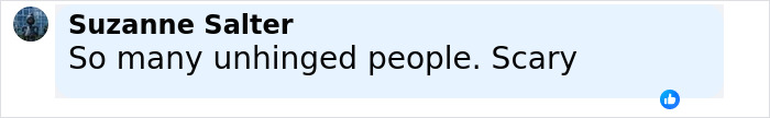 Comment by Suzanne Salter stating many unhinged people and describing the situation as scary. Comment by Suzanne Salter stating many unhinged people and describing the situation as scary.
