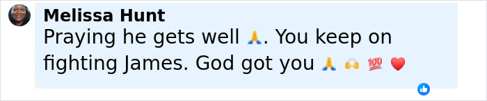 Comment from Melissa Hunt expressing support and encouragement for James Van Der Beek during his cancer journey and difficult moments with kids. Comment from Melissa Hunt expressing support and encouragement for James Van Der Beek during his cancer journey and difficult moments with kids.