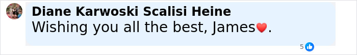 Comment from Diane Karwoski Scalisi Heine expressing support for James Van Der Beek during his cancer journey and family challenges. Comment from Diane Karwoski Scalisi Heine expressing support for James Van Der Beek during his cancer journey and family challenges.