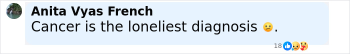 Comment by Anita Vyas French expressing that cancer is the loneliest diagnosis with a sad emoji. Comment by Anita Vyas French expressing that cancer is the loneliest diagnosis with a sad emoji.