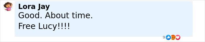 Comment by user Lora Jay expressing support and calling for the release related to cops arresting top bosses over nurse foul play suspicions. Comment by user Lora Jay expressing support and calling for the release related to cops arresting top bosses over nurse foul play suspicions.