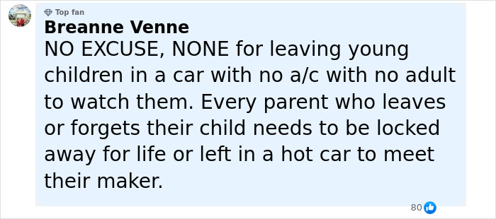 Comment by Breanne Venne expressing outrage over leaving children unattended in a hot car leading to tragic consequences.