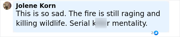 Comment mentioning fire still raging and killing wildlife, referring to Idaho teen sniper’s ominous Instagram story. Comment mentioning fire still raging and killing wildlife, referring to Idaho teen sniper’s ominous Instagram story.