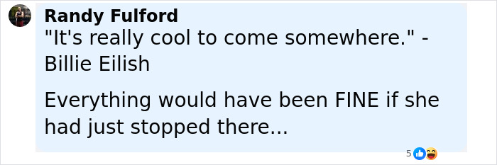 Screenshot of a social media comment discussing Billie Eilish and a controversial remark during her Ireland show. Screenshot of a social media comment discussing Billie Eilish and a controversial remark during her Ireland show.