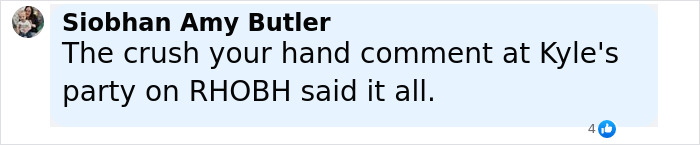Comment by Siobhan Amy Butler referencing Kyle's party on RHOBH discussing a hand crush incident related to Denise Richards assault claims. Comment by Siobhan Amy Butler referencing Kyle's party on RHOBH discussing a hand crush incident related to Denise Richards assault claims.