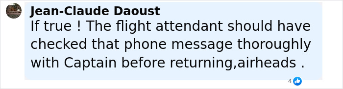 Comment on flight incident, discussing flight attendant checking phone message after passenger sparked scare on flight causing emergency landing. Comment on flight incident, discussing flight attendant checking phone message after passenger sparked scare on flight causing emergency landing.