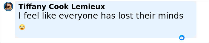 Comment from Tiffany Cook Lemieux expressing disbelief about passengers tackling a man who threatened to explode plane mid-flight. Comment from Tiffany Cook Lemieux expressing disbelief about passengers tackling a man who threatened to explode plane mid-flight.