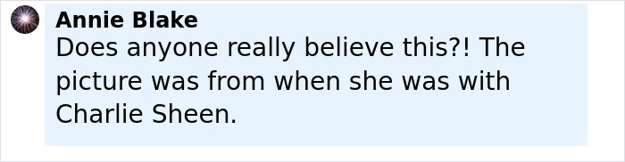 Comment by Annie Blake doubting Denise Richards' assault claims, mentioning a picture from her time with Charlie Sheen. Comment by Annie Blake doubting Denise Richards' assault claims, mentioning a picture from her time with Charlie Sheen.