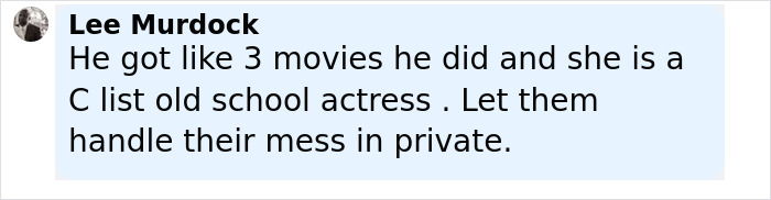 Screenshot of a social media comment discussing Denise Richards accusing estranged husband of assault. Screenshot of a social media comment discussing Denise Richards accusing estranged husband of assault.