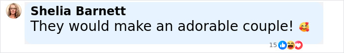 Comment by Shelia Barnett saying they would make an adorable couple with emojis, related to Pamela Anderson dating Liam Neeson. Comment by Shelia Barnett saying they would make an adorable couple with emojis, related to Pamela Anderson dating Liam Neeson.