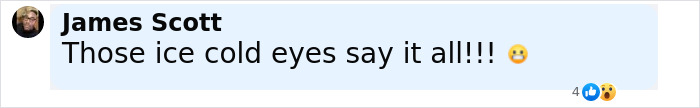 Screenshot of a Facebook comment by James Scott reacting with emoji to a post about a tragic family incident. Screenshot of a Facebook comment by James Scott reacting with emoji to a post about a tragic family incident.