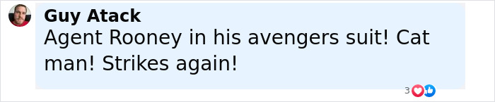 Comment on social media post mentioning mysterious figure in full-body cat suit crawling at night, sparking neighborhood fear. Comment on social media post mentioning mysterious figure in full-body cat suit crawling at night, sparking neighborhood fear.