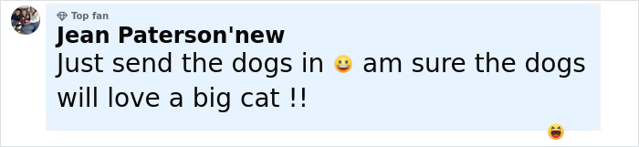 Comment about mysterious figure in full-body cat suit crawling around, causing fear in the neighborhood at night. Comment about mysterious figure in full-body cat suit crawling around, causing fear in the neighborhood at night.