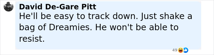 Comment from David De-Gare Pitt joking about tracking a mysterious figure terrorizing neighborhood in a full-body cat suit. Comment from David De-Gare Pitt joking about tracking a mysterious figure terrorizing neighborhood in a full-body cat suit.