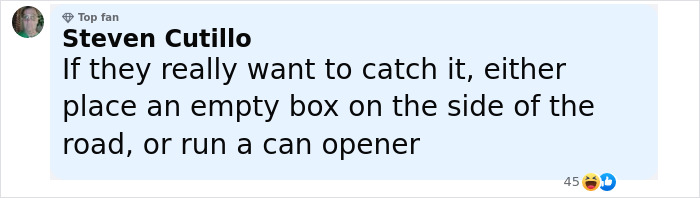 Comment suggesting to catch a mysterious figure by placing an empty box or running a can opener on the side of the road. Comment suggesting to catch a mysterious figure by placing an empty box or running a can opener on the side of the road.