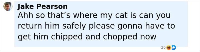 Comment about a cat with a person mentioning returning the cat safely amidst a mysterious figure in a full-body cat suit. Comment about a cat with a person mentioning returning the cat safely amidst a mysterious figure in a full-body cat suit.