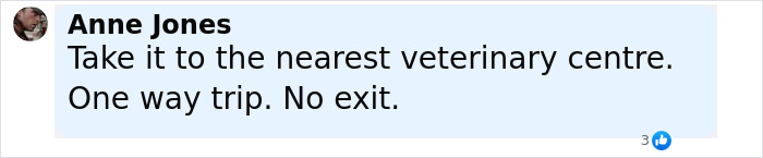 Comment by Anne Jones saying take it to the nearest veterinary centre in a social media message. Comment by Anne Jones saying take it to the nearest veterinary centre in a social media message.