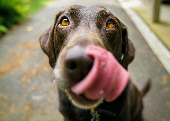 45 Private Investigators Share The Strangest Things They’ve Encountered On The Job