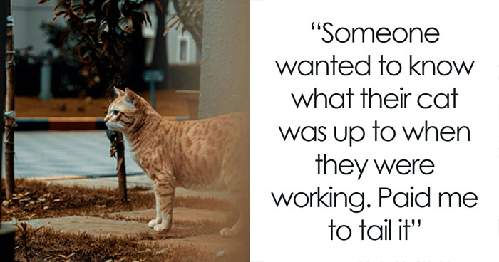 39 Cases Private Investigators Can’t Forget