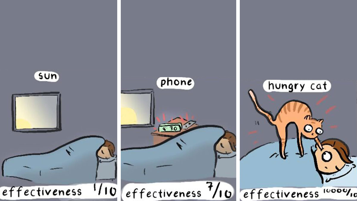 Comic panels showing daily waking triggers rated by effectiveness, featuring sun, phone alarm, and hungry cat.