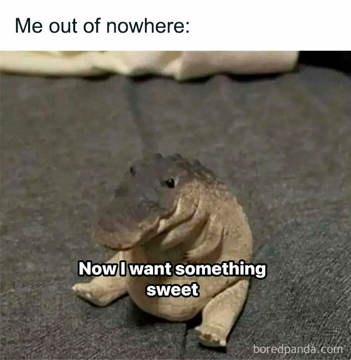 Small alligator figure on fabric with text about wanting something sweet, a funny meme reminding not to take life too seriously.