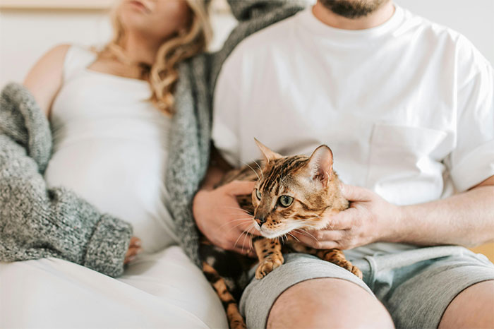 Couple sitting with a cat between them, woman visibly upset while man holds the cat calmly at home. Couple sitting with a cat between them, woman visibly upset while man holds the cat calmly at home.