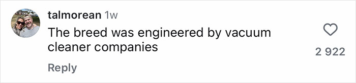 Comment on social media post saying the breed was engineered by vacuum cleaner companies in black text on white background with profile picture of two people wearing sunglasses. Comment on social media post saying the breed was engineered by vacuum cleaner companies in black text on white background with profile picture of two people wearing sunglasses.