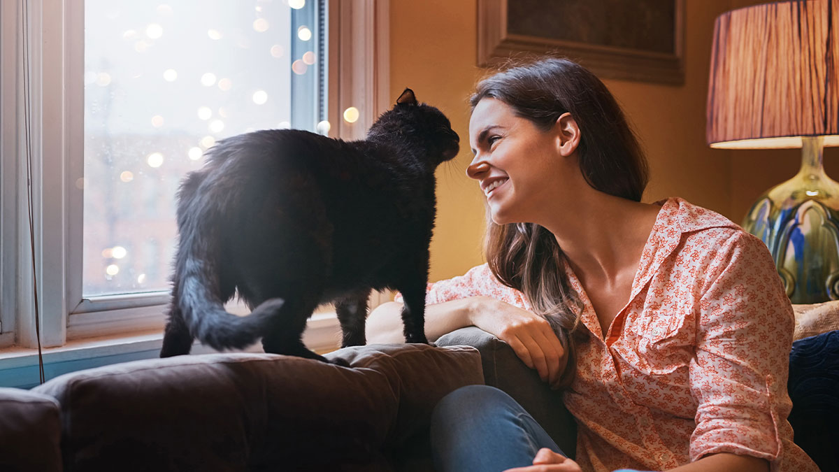 Woman smiling at a black cat on couch by window, illustrating roommate clash over cats and dogs legal battle.