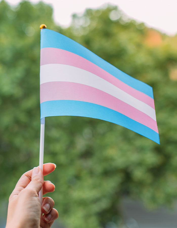 Hand holding a small transgender pride flag representing transition and detransition experiences of a model pushed to transition. Hand holding a small transgender pride flag representing transition and detransition experiences of a model pushed to transition.