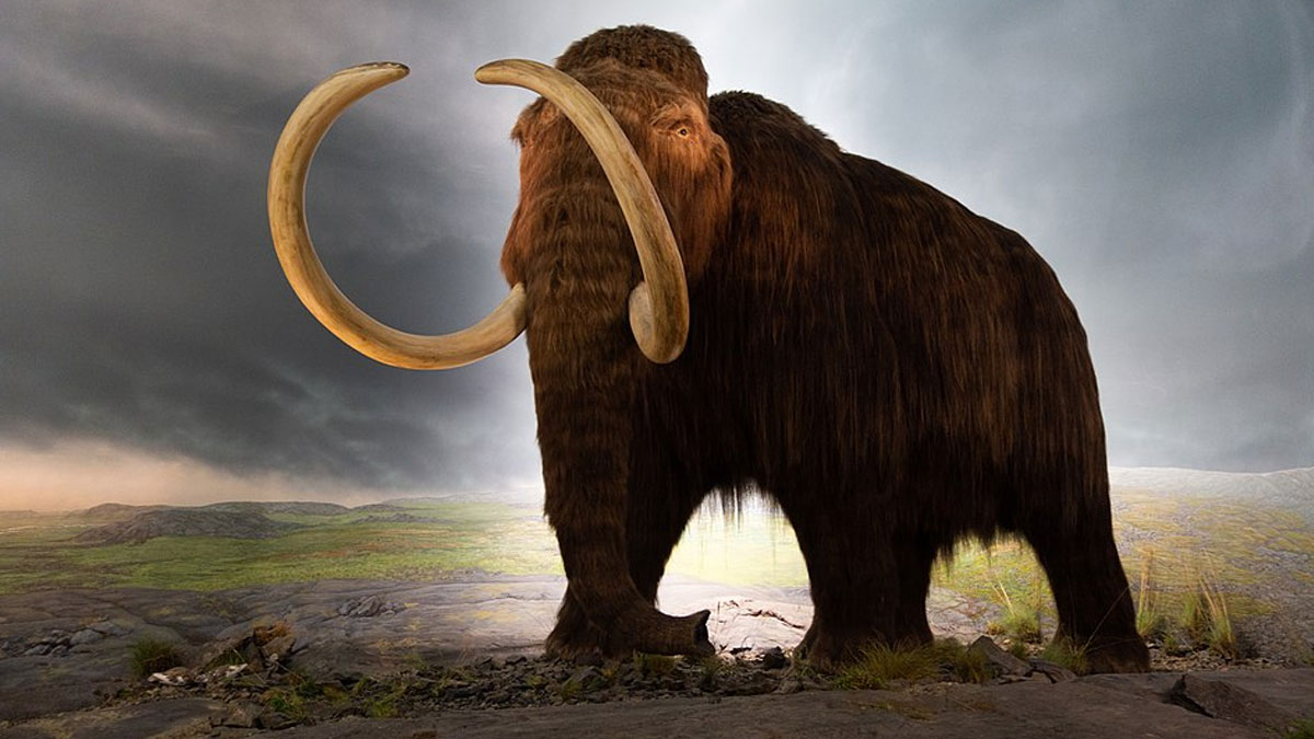 A woolly mammoth standing on rocky ground under a cloudy sky, highlighting extinct animals scientists are close to reviving.