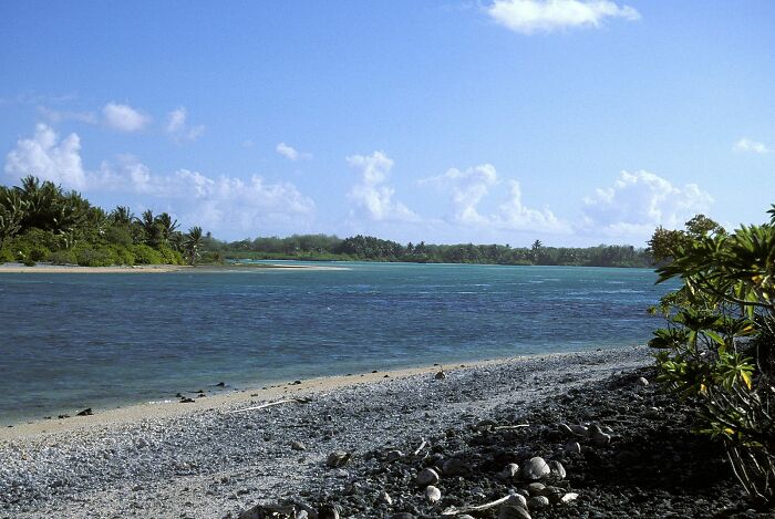 A remote island shoreline with clear blue water and palm trees, linked to Amelia Earhart mystery satellite discoveries. A remote island shoreline with clear blue water and palm trees, linked to Amelia Earhart mystery satellite discoveries.