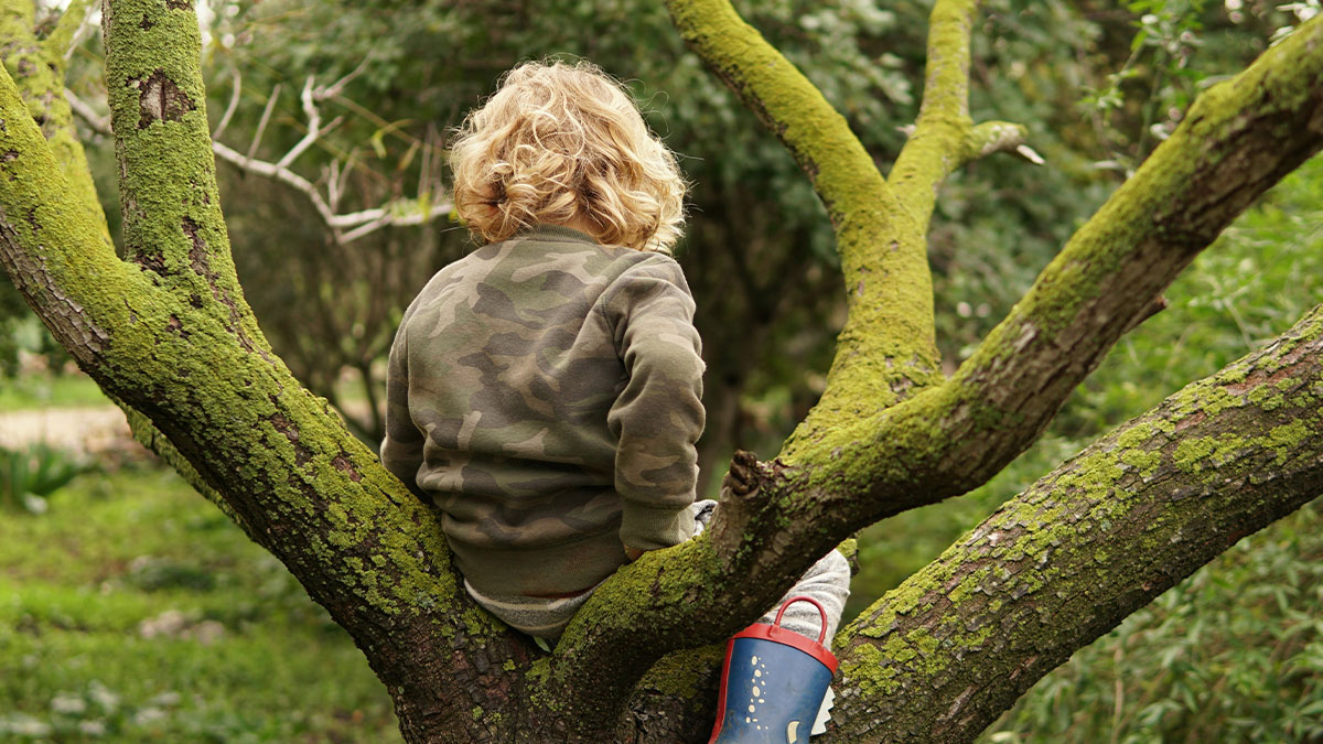 Child sitting on a moss-covered tree branch in a quiet outdoor setting, reflecting on childhood memories.