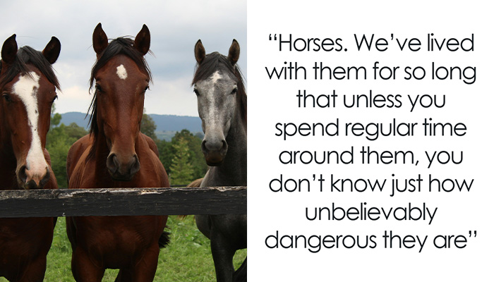 “A Crack In Your Toilet”: 50 Things Most People Don’t Know Could Finish You Off In Seconds