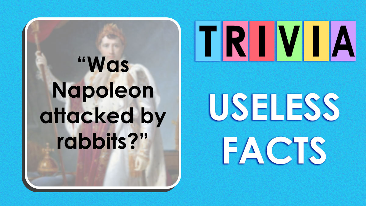 Trivia quiz graphic with a Napoleon painting and a question about useless facts on a bright blue background.