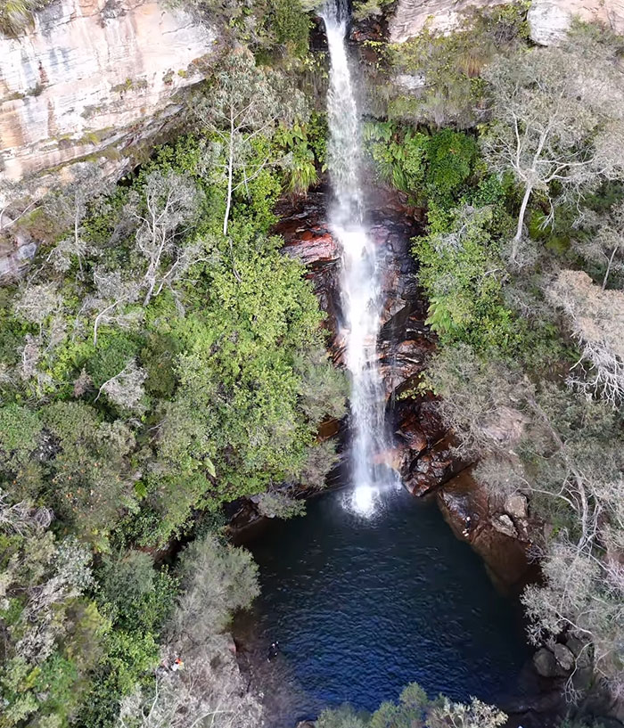 A tall waterfall plunging into a deep natural pool surrounded by dense forest, site of a daredevil's record-breaking dive attempt. A tall waterfall plunging into a deep natural pool surrounded by dense forest, site of a daredevil's record-breaking dive attempt.