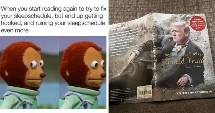 The 21 Most Unhinged Books We Found That You Absolutely Need To Own