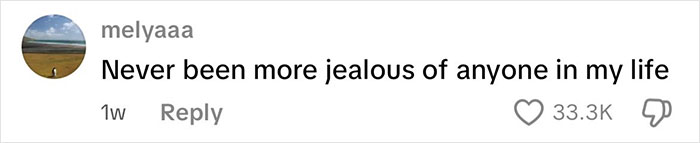 Screenshot of a social media comment expressing strong envy with 33.3K likes and user profile icon. Screenshot of a social media comment expressing strong envy with 33.3K likes and user profile icon.
