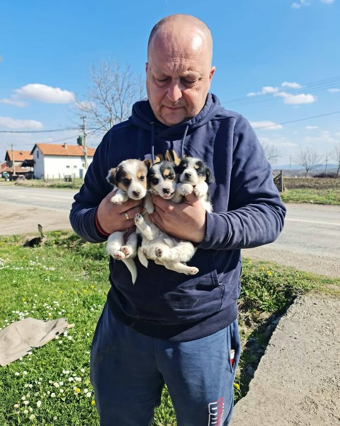 Man in hoodie holding three small puppies outside at Serbia&rsquo;s largest shelter caring for rescued animals.