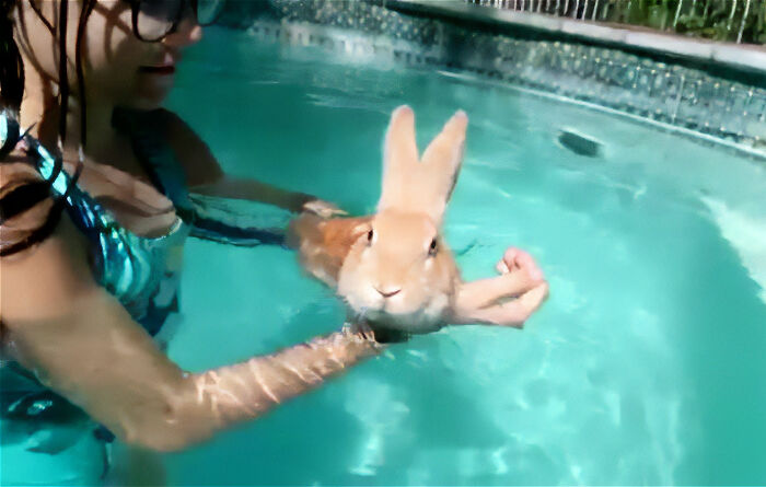 36 People Reveal Home Visits That Left Them Wondering If They Were On A Hidden Camera Show