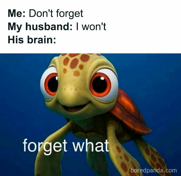 Parenting meme showing a forgetful husband with a cartoon turtle saying forget what, capturing cool mom humor.