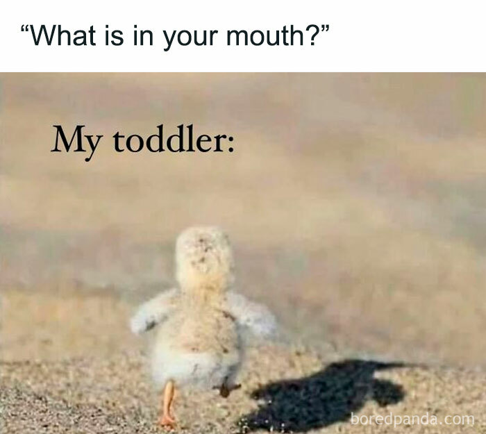 Humorous parenting meme showing a toddler bird running away with something in its mouth, capturing cool mom moments.